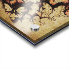 Weathered love nest Acrylic print