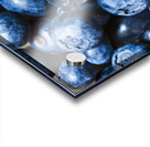 Blueberrys background Acrylic print
