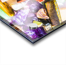 Rockery  Acrylic print