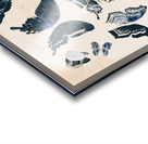 Scrapbook butterflies Acrylic print