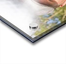 Golf Four And Out…Cold Acrylic print