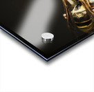 Wasp hunt Acrylic print