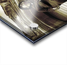 Waiting By Deaths Door Acrylic print