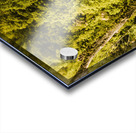 Wilderness falls Acrylic print