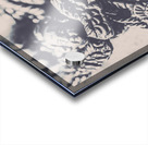 Historic angel abstract Acrylic print