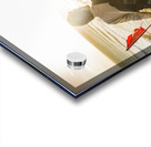 Spirit of Tasmania Acrylic print