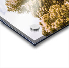 Ornate outbacks Acrylic print