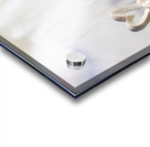 Together In Love Acrylic print