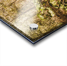 Autumn path obscured by fallen foliage Acrylic print