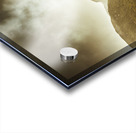 Foggy mountainous forest Acrylic print