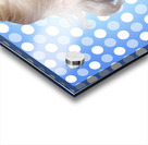 Vintage 1950 retro cleaning advertisement Acrylic print