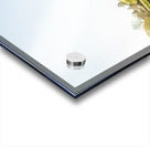 Deloraine cherry tree panorama Acrylic print