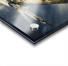 Callington Mill in Oatlands Tasmania Acrylic print