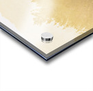 Western ranch horse Acrylic print