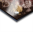 Exotic depths Acrylic print