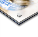 Hiding Hermit Crab Acrylic print