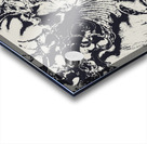 Halls of horned art Acrylic print