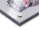 Dog wearing nerd glasses Acrylic print