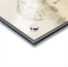 Trees in fog and mist Acrylic print