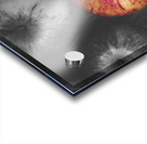 Selective colour still life fruits Acrylic print