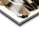 Painted patrol Acrylic print