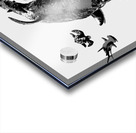 Greywaters  Acrylic print