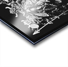 Viking hold Acrylic print