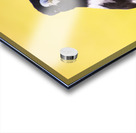 Mr. Magpie Acrylic print