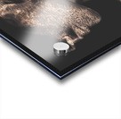 Intersection  Acrylic print