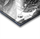 Leaves and light Acrylic print