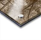 Vintage Deception Bay woodland Acrylic print