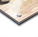 Hot summer day pin up model Acrylic print