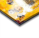 Heads I win foosball you lose Acrylic print