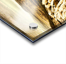 End of the earth Acrylic print