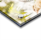 Branched Outback Acrylic print