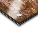 Rugged falls Acrylic print