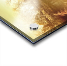 Coal River Richmond Acrylic print