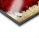 Where the blood trail leads Acrylic print