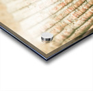 Macro marine minimalism Acrylic print