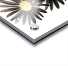 Seisiad Acrylic print