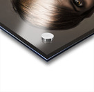 Speak No Evil Acrylic print