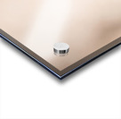 Tropical Butterfly Acrylic print