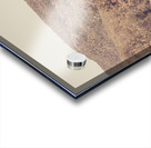 Old prairie Acrylic print