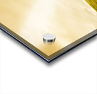 Single green tree in meadows of old Acrylic print