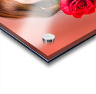 Woman gripping red rose between her teeth Acrylic print