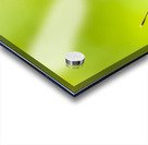 Tropical exotics Acrylic print