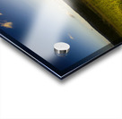 Love Is In The Air Acrylic print