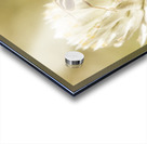 Ant ique  Acrylic print