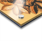 Setting seeds Acrylic print