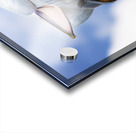 Summer Siesta Acrylic print